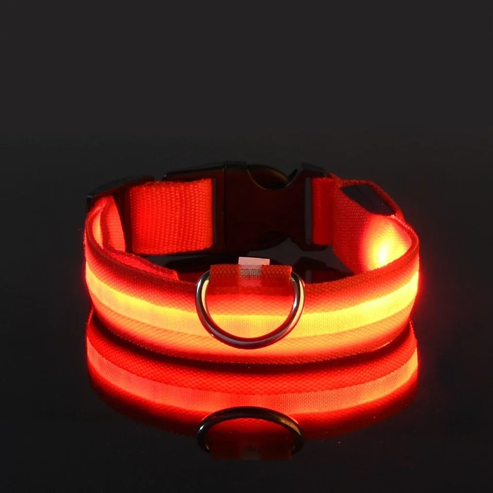 Collier de Sécurité LED Lumineux pour Chien — Haute Visibilité