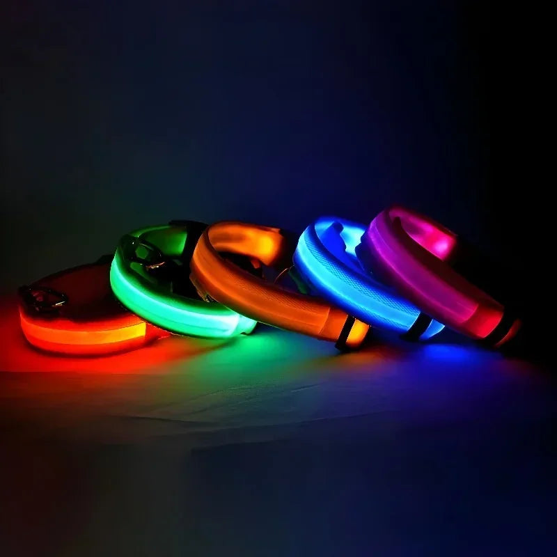 Collier de Sécurité LED Lumineux pour Chien — Haute Visibilité