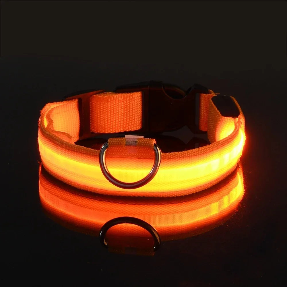 Collier de Sécurité LED Lumineux pour Chien — Haute Visibilité