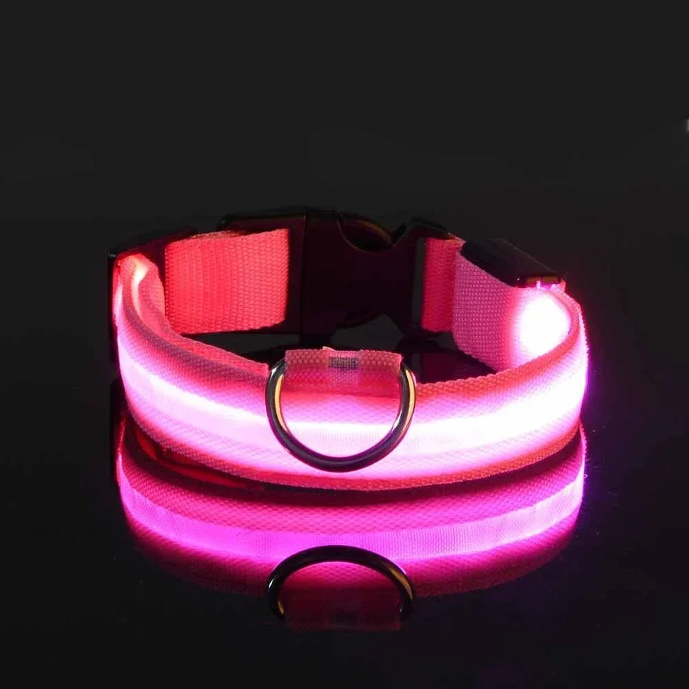 Collier de Sécurité LED Lumineux pour Chien — Haute Visibilité