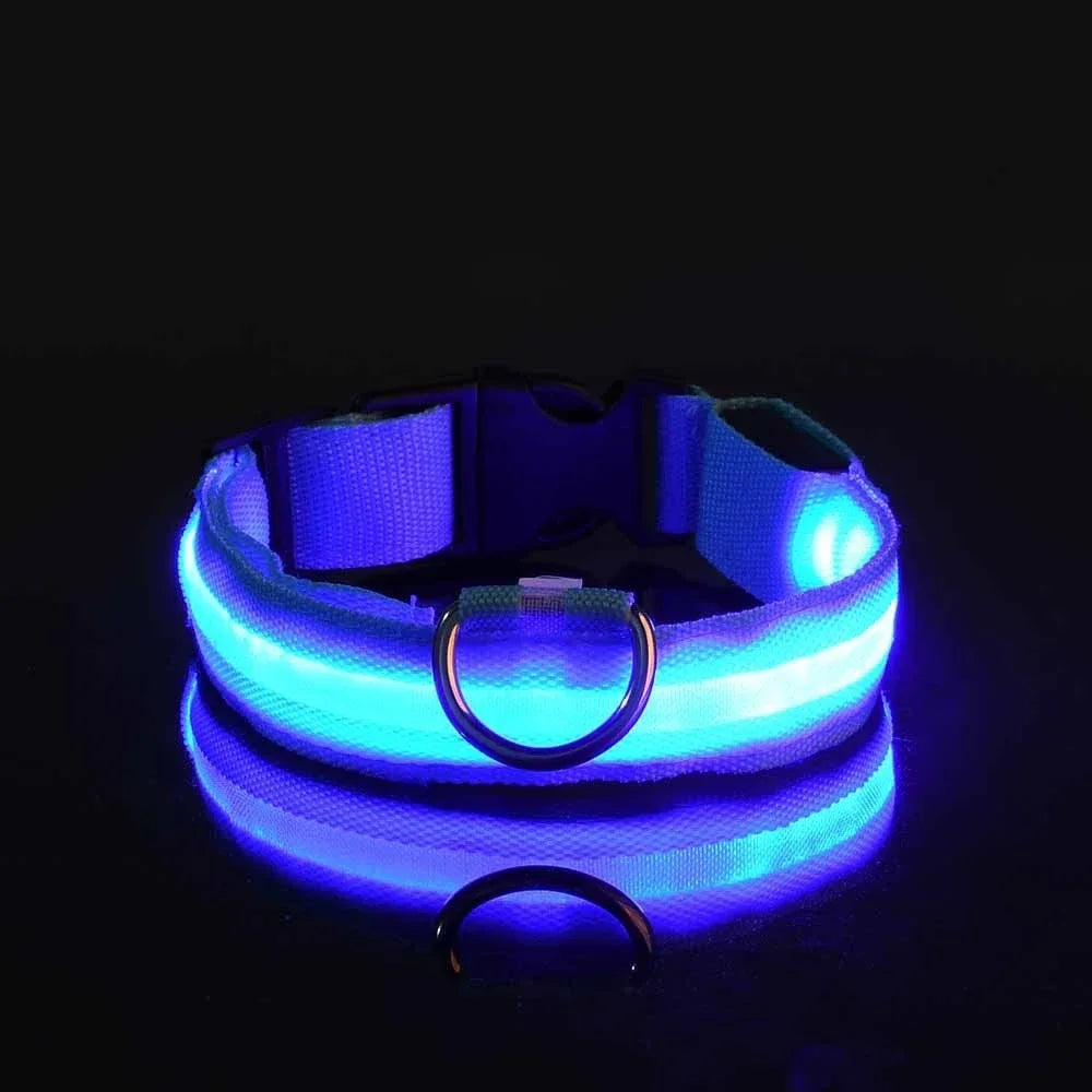 Collier de Sécurité LED Lumineux pour Chien — Haute Visibilité