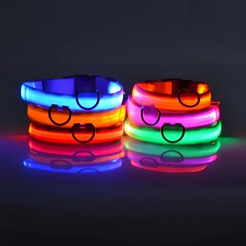Collier de Sécurité LED Lumineux pour Chien — Haute Visibilité