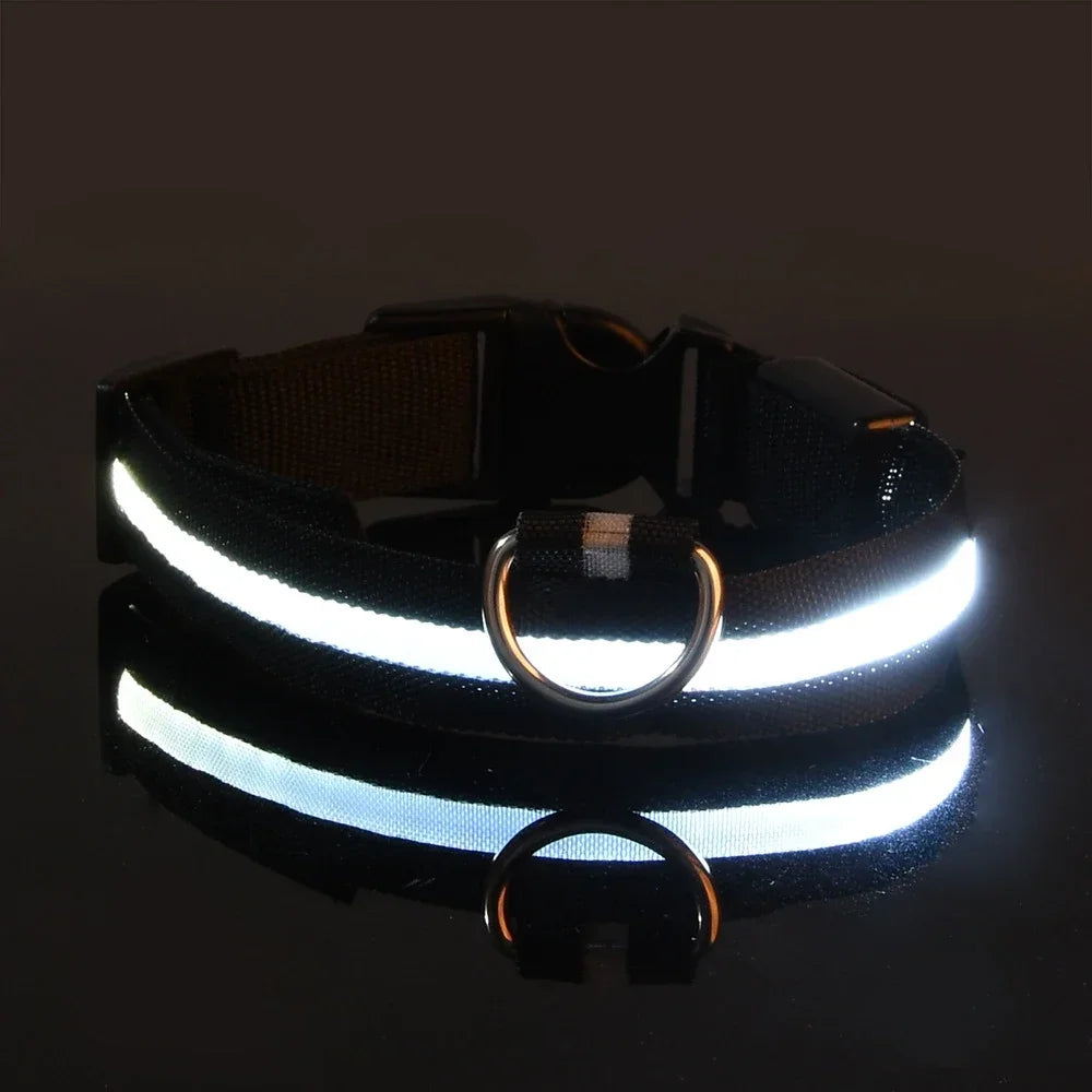 Collier de Sécurité LED Lumineux pour Chien — Haute Visibilité