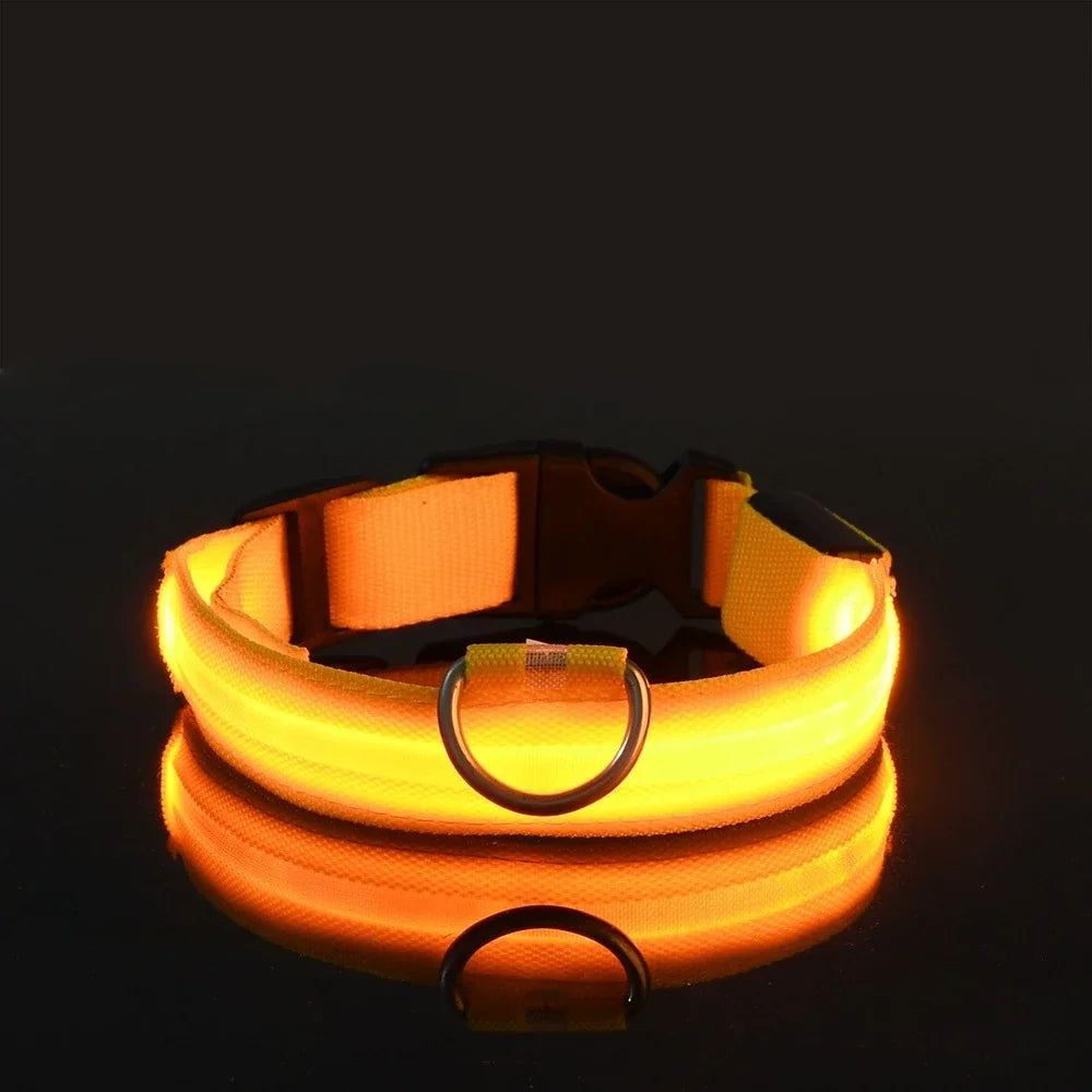 Collier de Sécurité LED Lumineux pour Chien — Haute Visibilité
