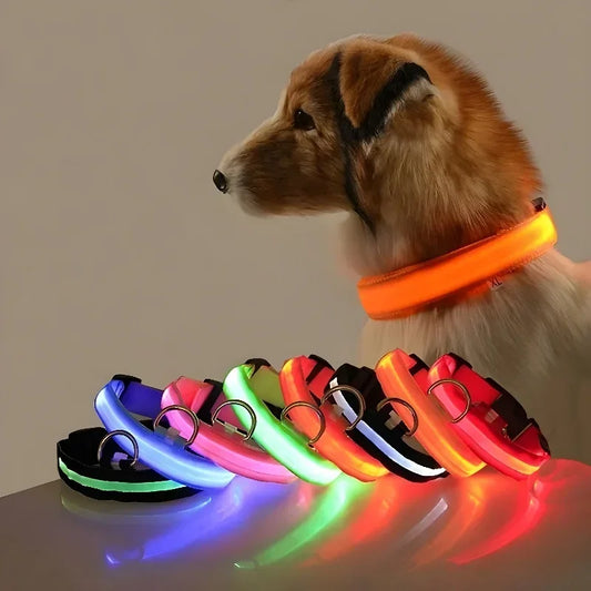 Collier de Sécurité LED Lumineux pour Chien — Haute Visibilité