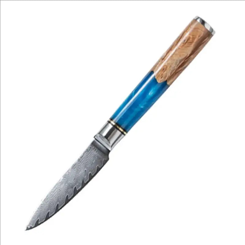 Set de Couteaux OMNÉO — Acier Damas & Résine Bleue