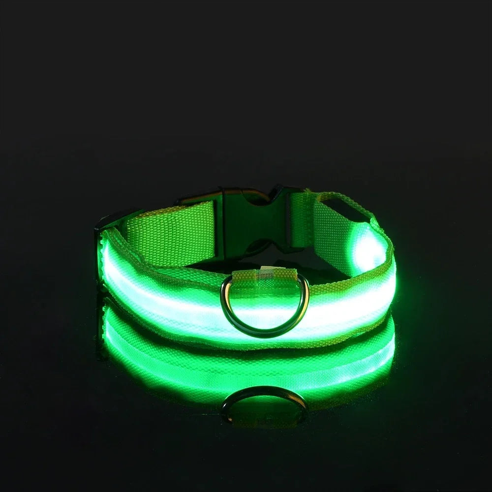 Collier de Sécurité LED Lumineux pour Chien — Haute Visibilité